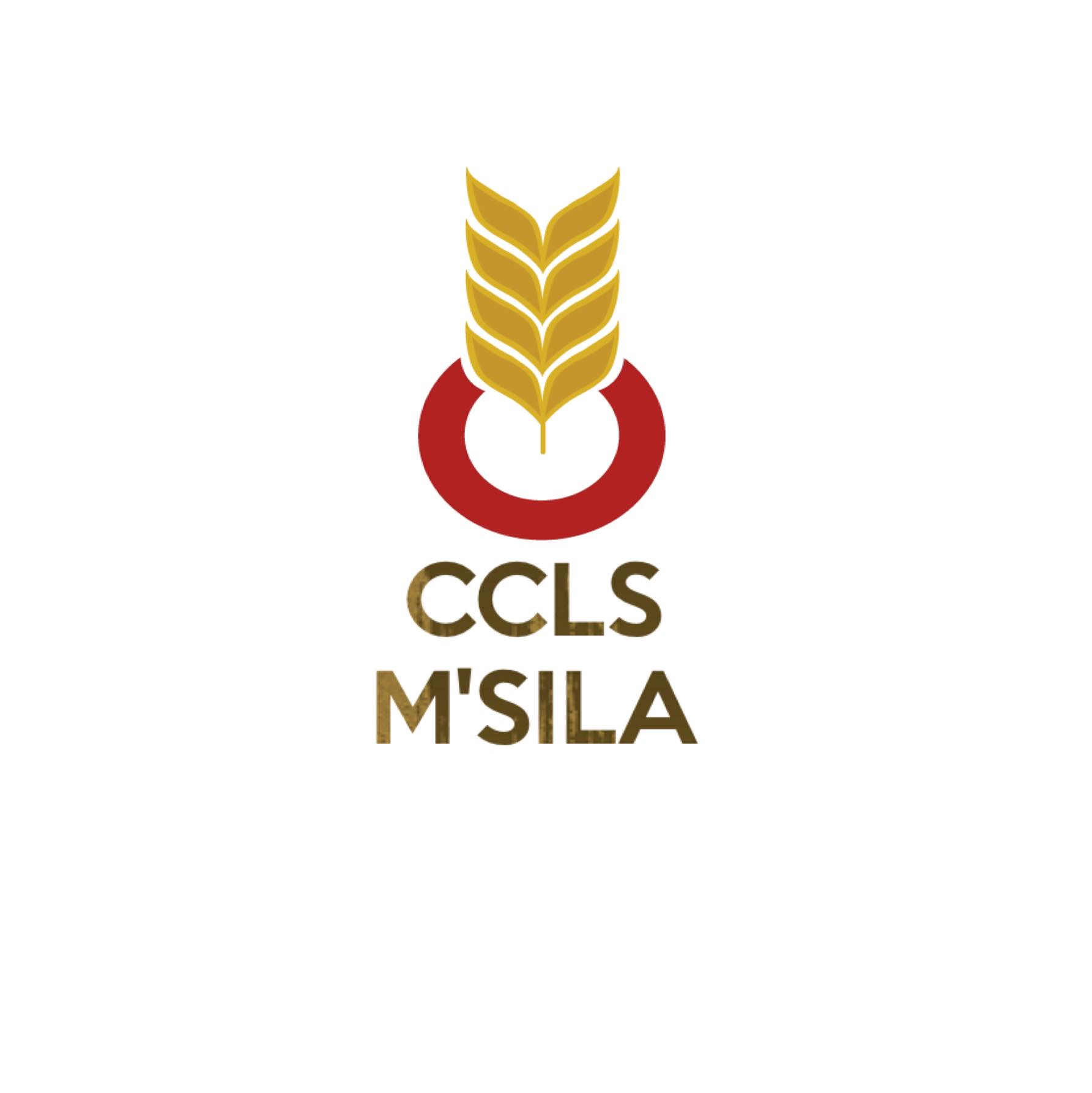 الصفحة الرسمية لتعاونية الحبوب و البقول الجافة المسيلة Ccls M'sila | M'Sila