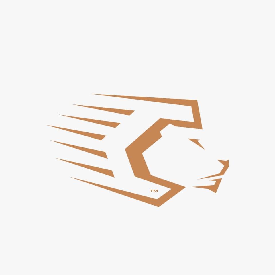 Capillus London Male Grooming | London