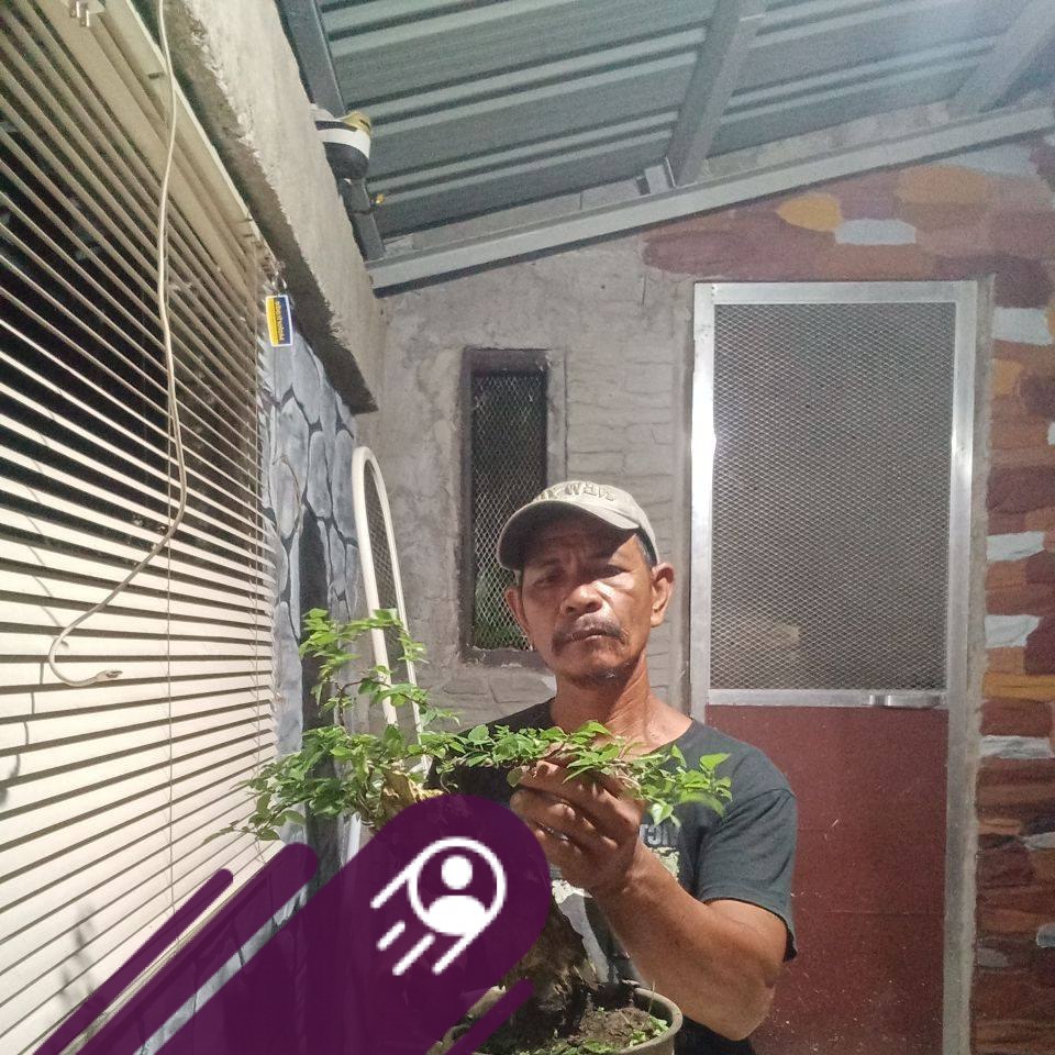 Ano ba dapat itsura ng potential na bonsai mats na kukunin? #moboano ...