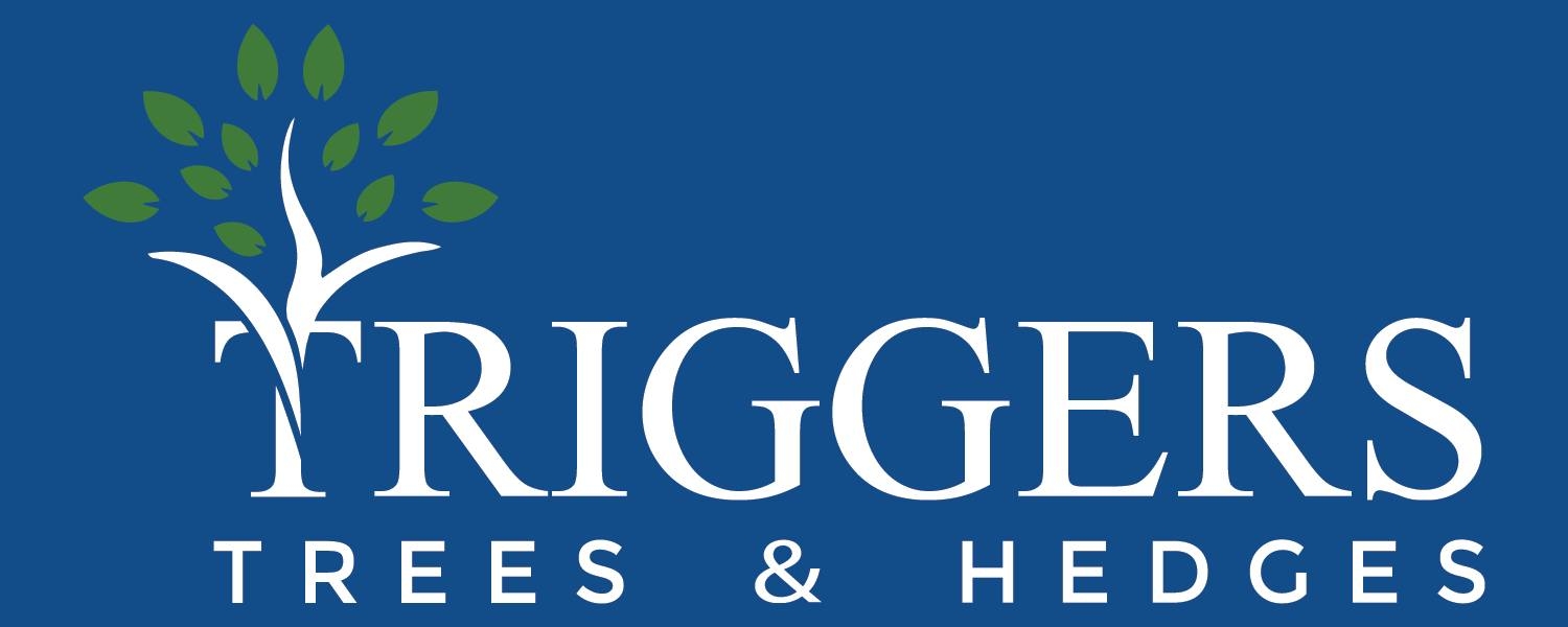 Triggers Trees and Hedges | Hamilton