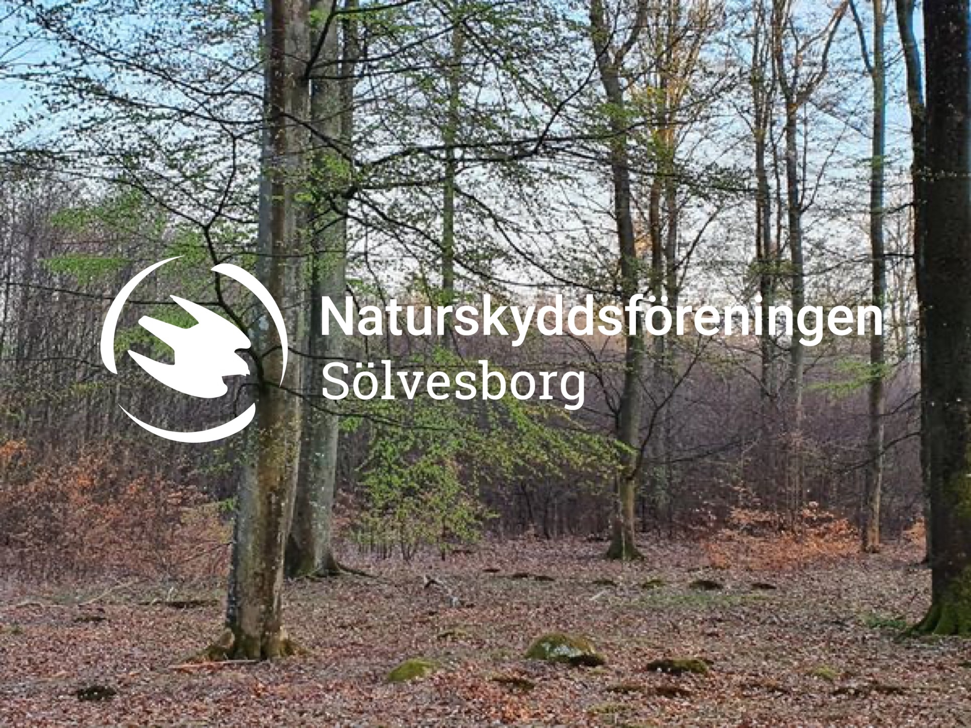 Sölvesborgs Scoutkår | Sölvesborg
