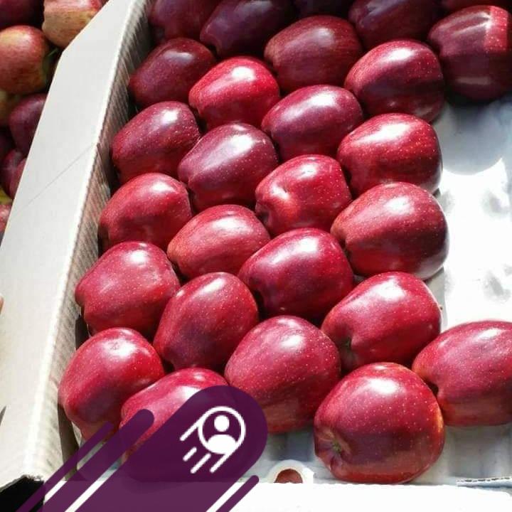 Mumbai unloading apple 🍎 #6836 | Rahul Rajput