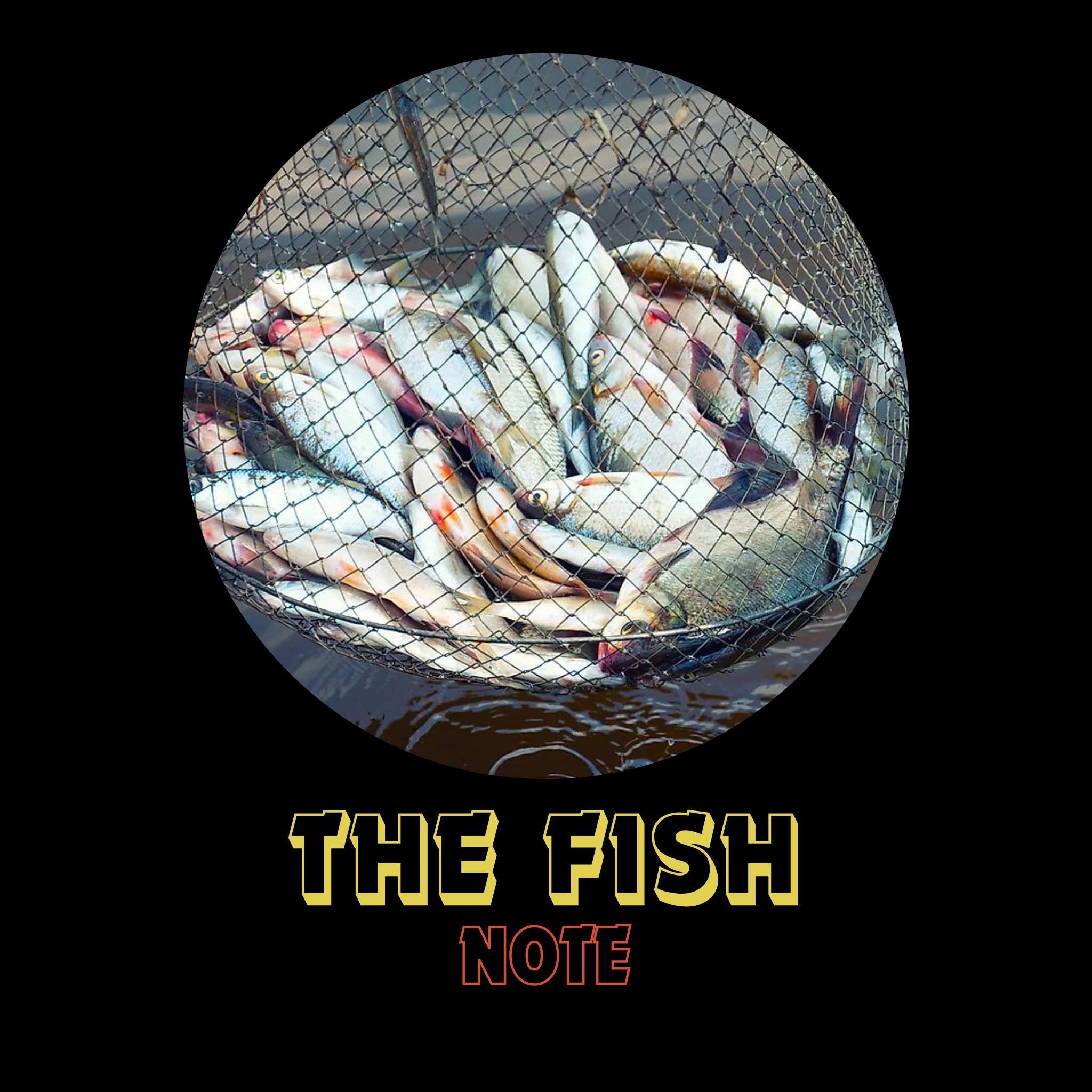 The Fish Note