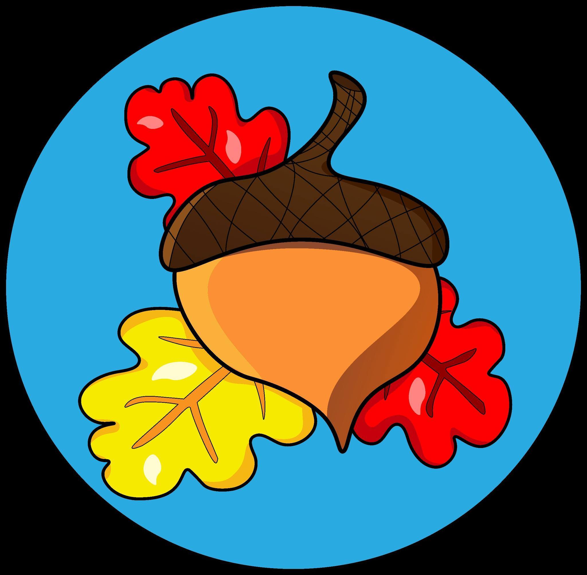Acornbuttonarts