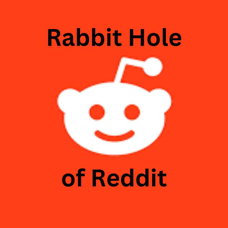Rabbit hole of Reddit