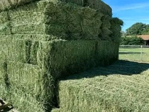 Vooma Boma Rhodes Hay | Nakuru