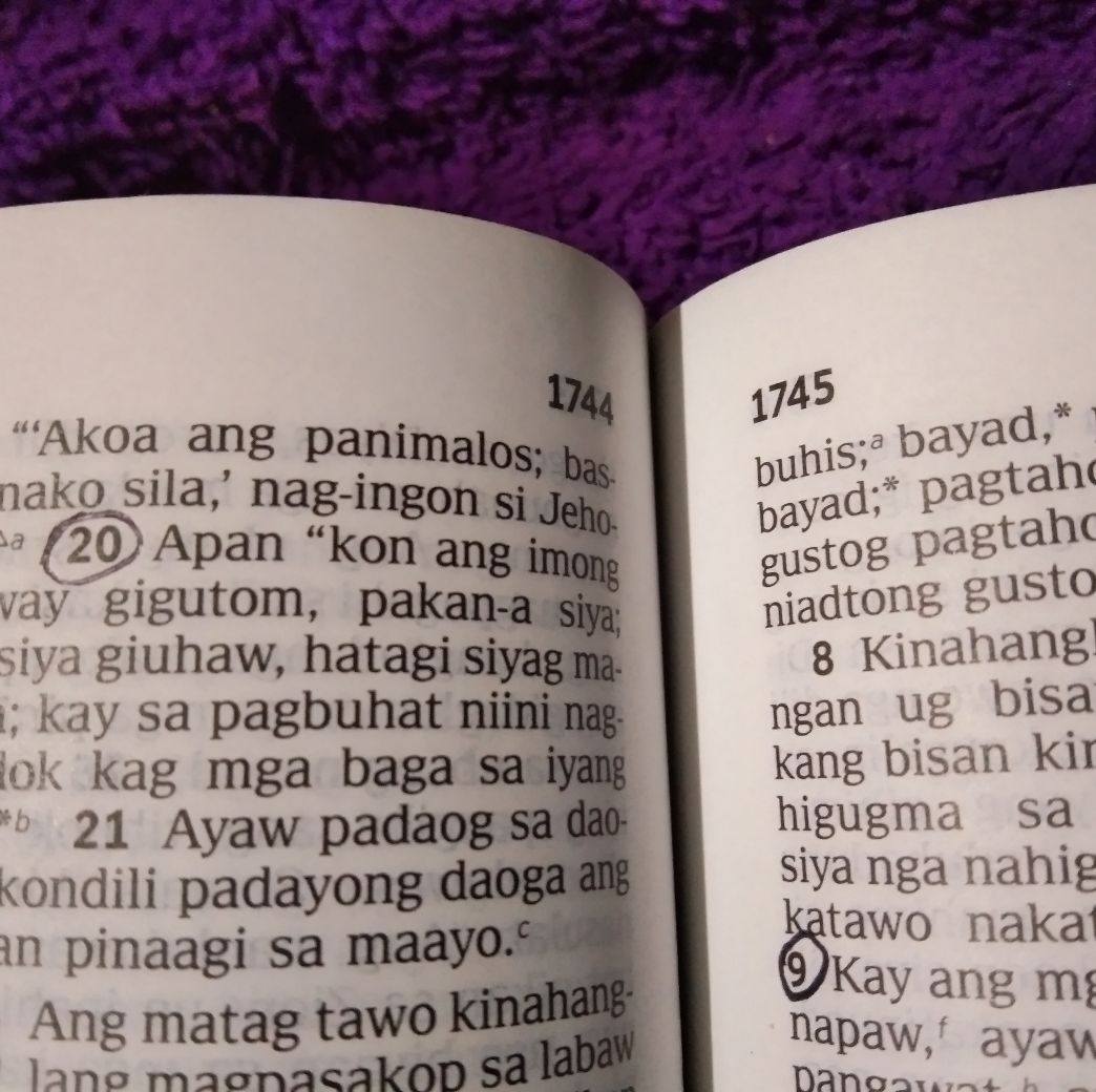 Erwin tulfo ben the law #politicsnews #inotify #everyone #follower # ...