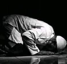 ساجد