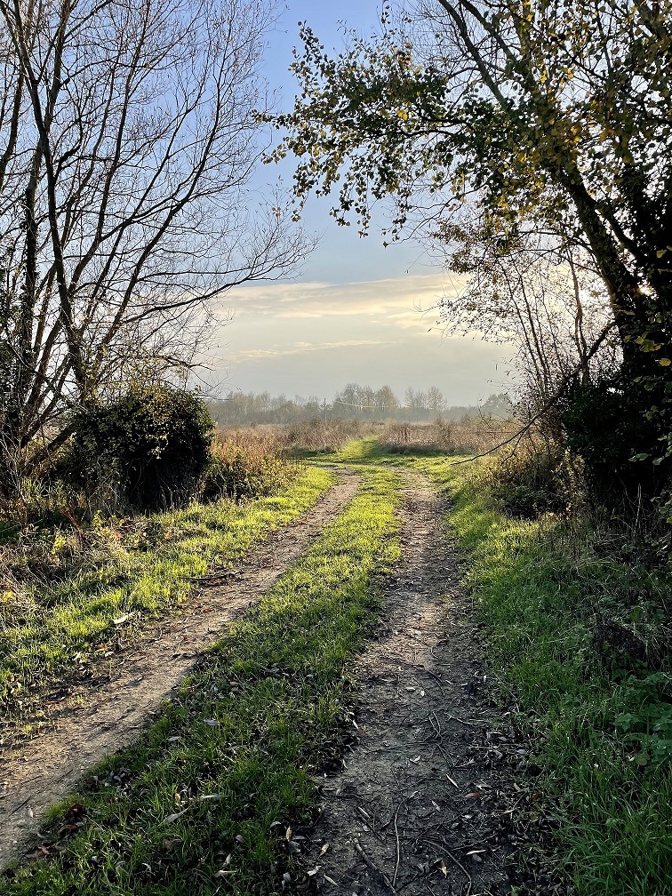 Ilkley Community Noticeboard | Want to devote a morning to writing ...