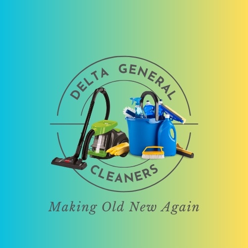 Delta Pro Cleaning & Detailing | Busia