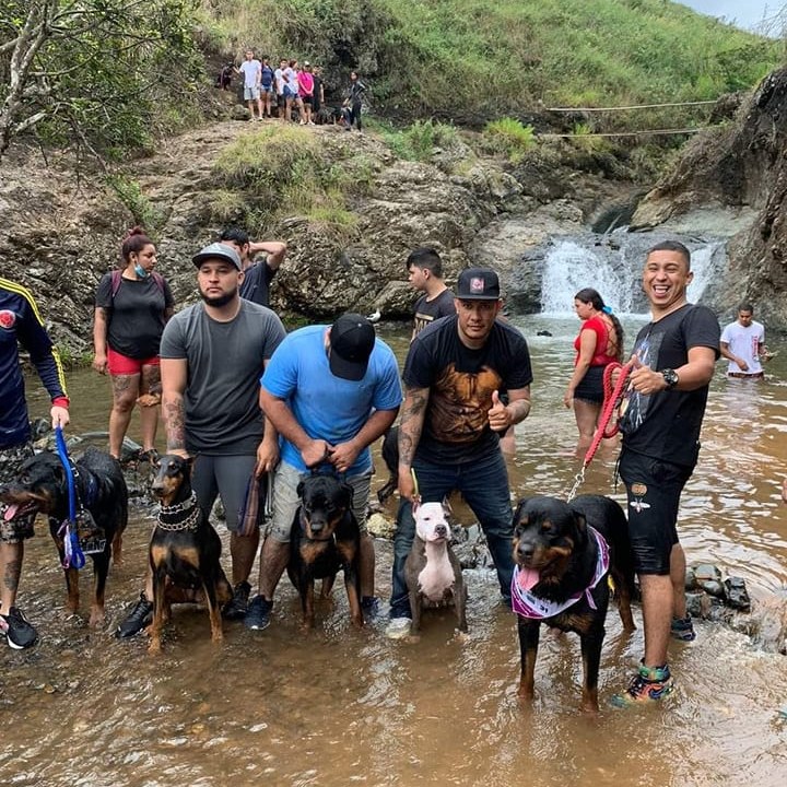Razas Fuertes Cali Colombia