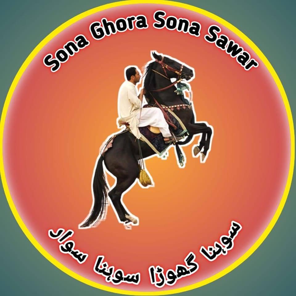 Sona Ghora Sona Sawar | Gujrat