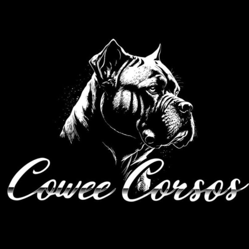 Cowee Corso's