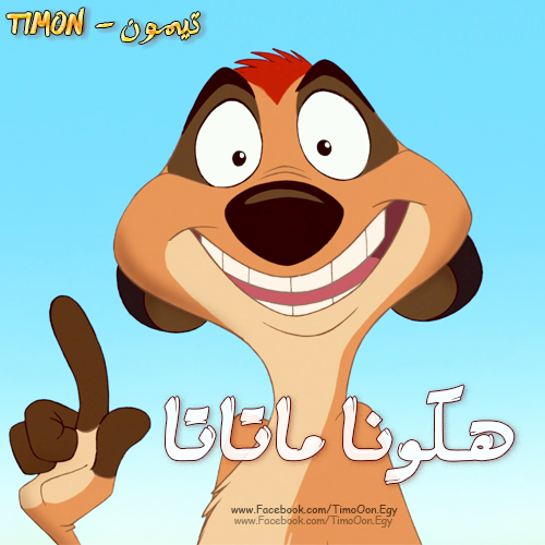 تيمون بومبا ttmm