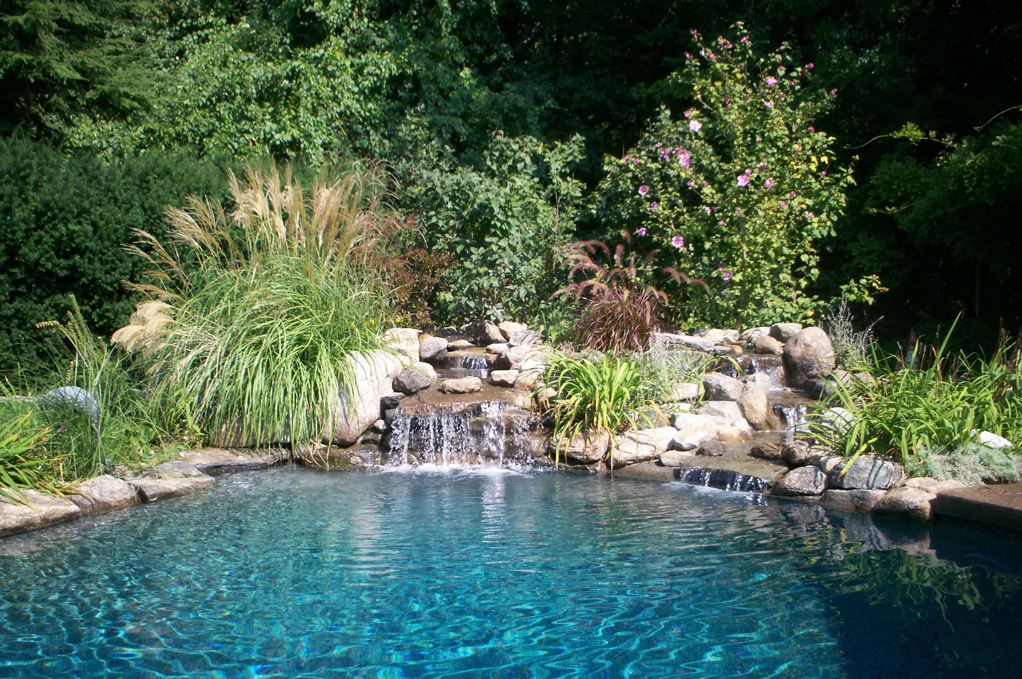 Jackson Pools