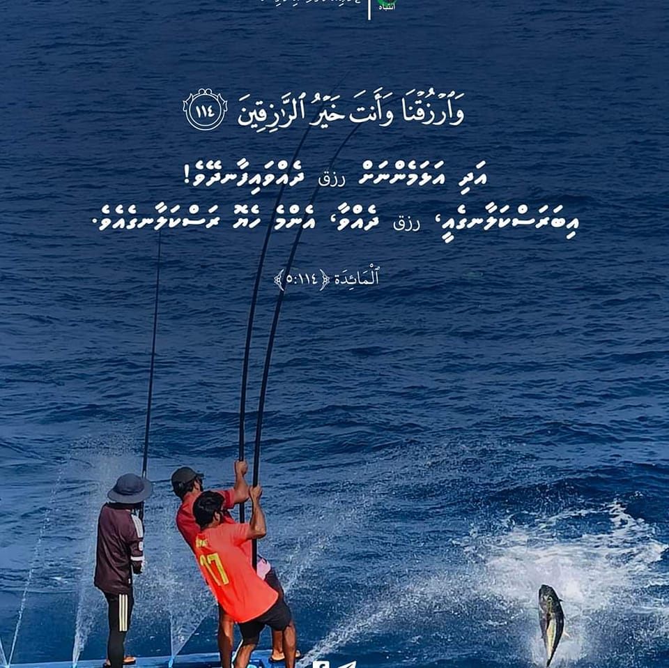 skipjack tuna #katsuwonus #lakshadweep #fishing #india #beach ...
