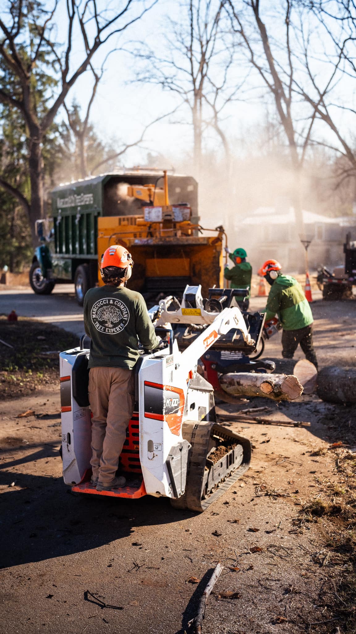 Marcucci & Co. Tree Experts | Gladwyne PA