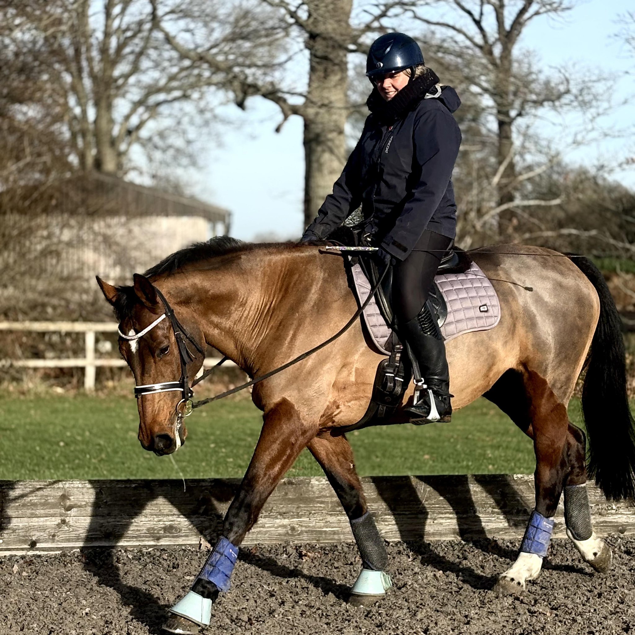 KM Horses and Ponies | Facebook