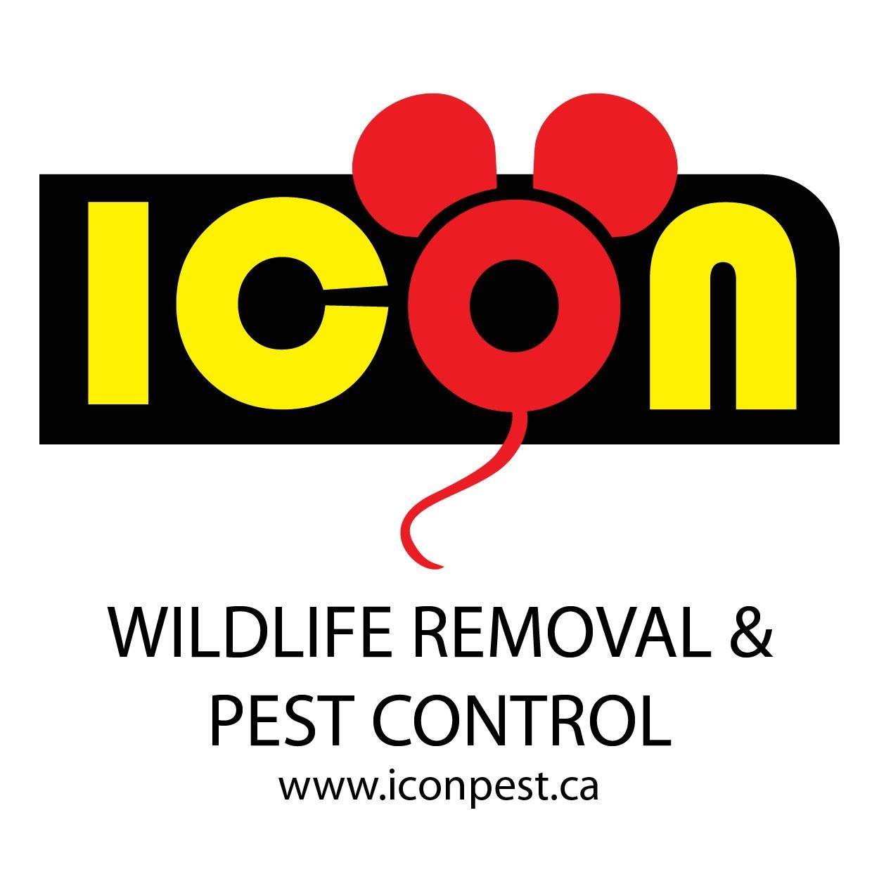 Icon Pest Control & Wildlife Removal | Richmond Hill ON