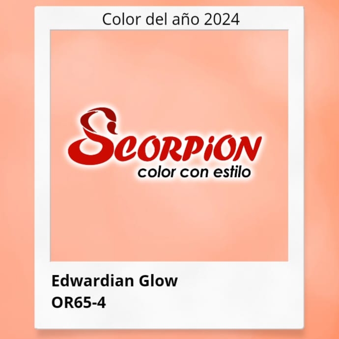 Scorpion Color con Estilo | Xalapa