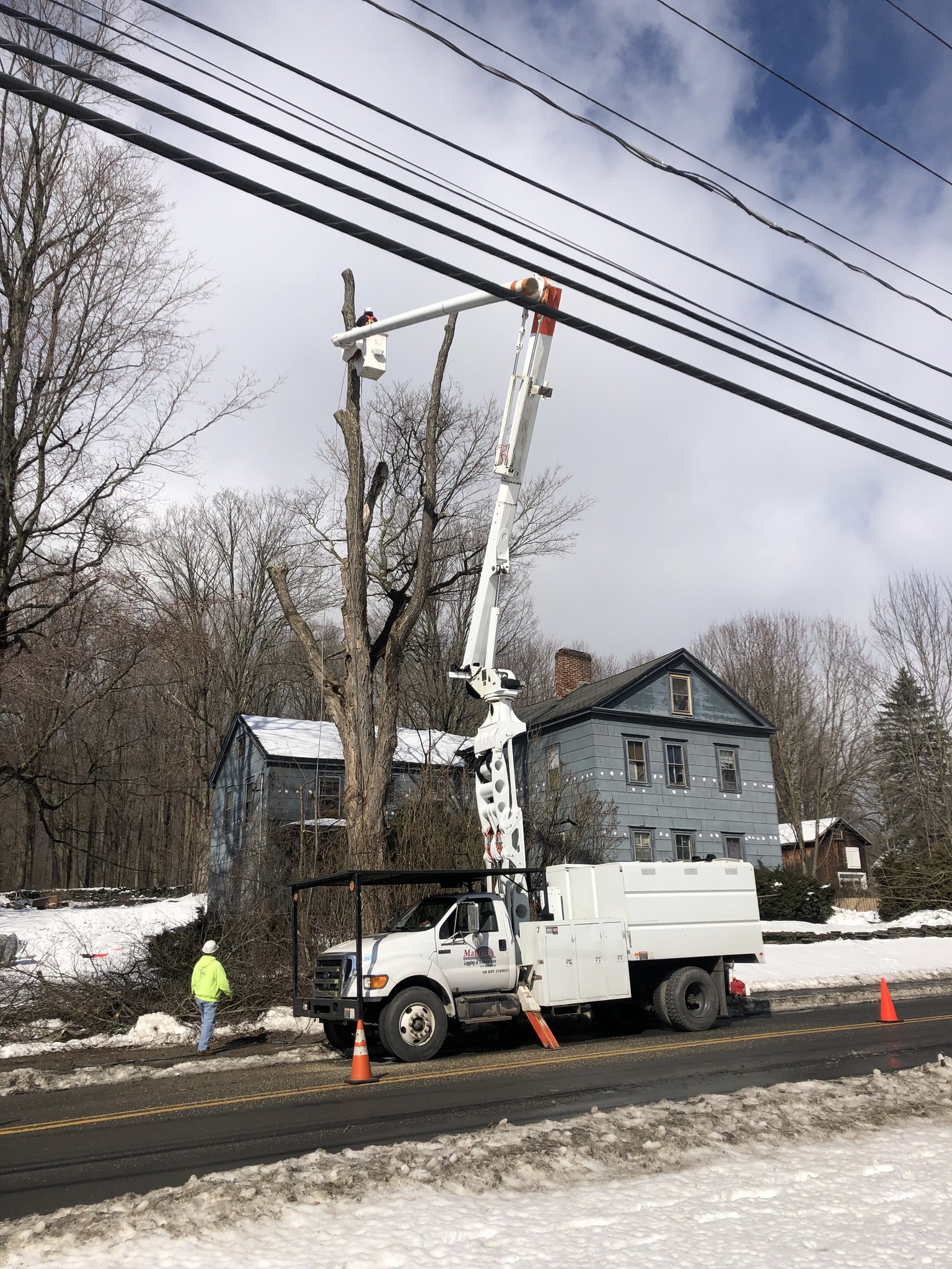 Mattern Logging & Tree Service | Moscow PA
