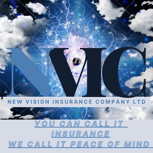 New Vision Insurance Company Ltd.