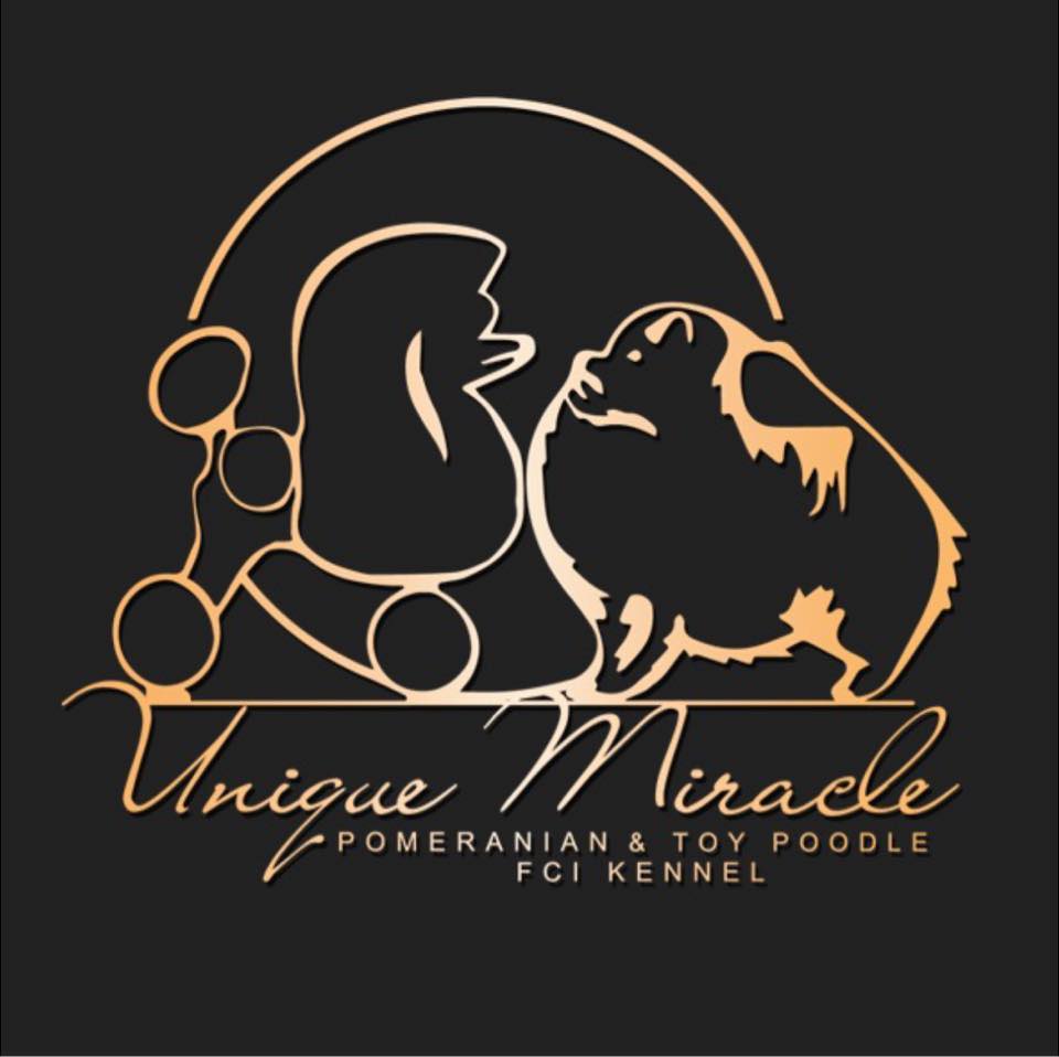 Unique Miracle FCI - Hodowla psów rasowych | Lidzbark Warminski