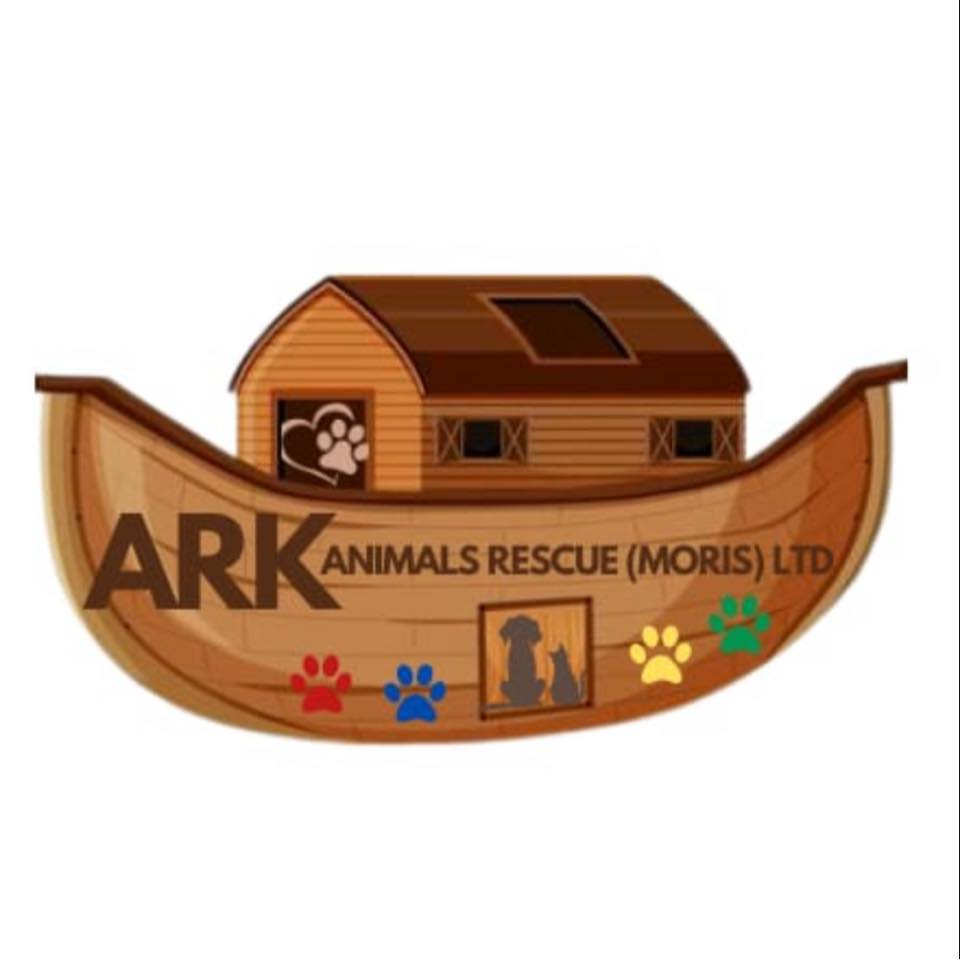 Ark Animal Rescue Maurice