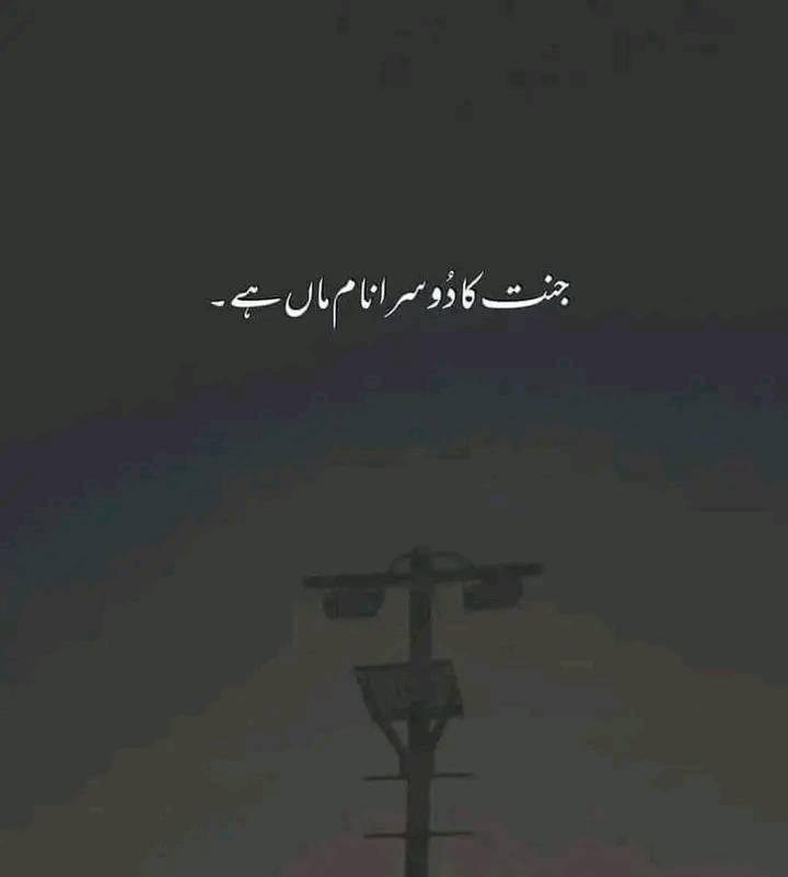 Rana Rebel writer's