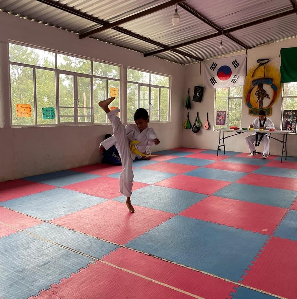 felisidades-a-todos-los-ni-os-por-su-examen-alexis-taekwondo-facebook