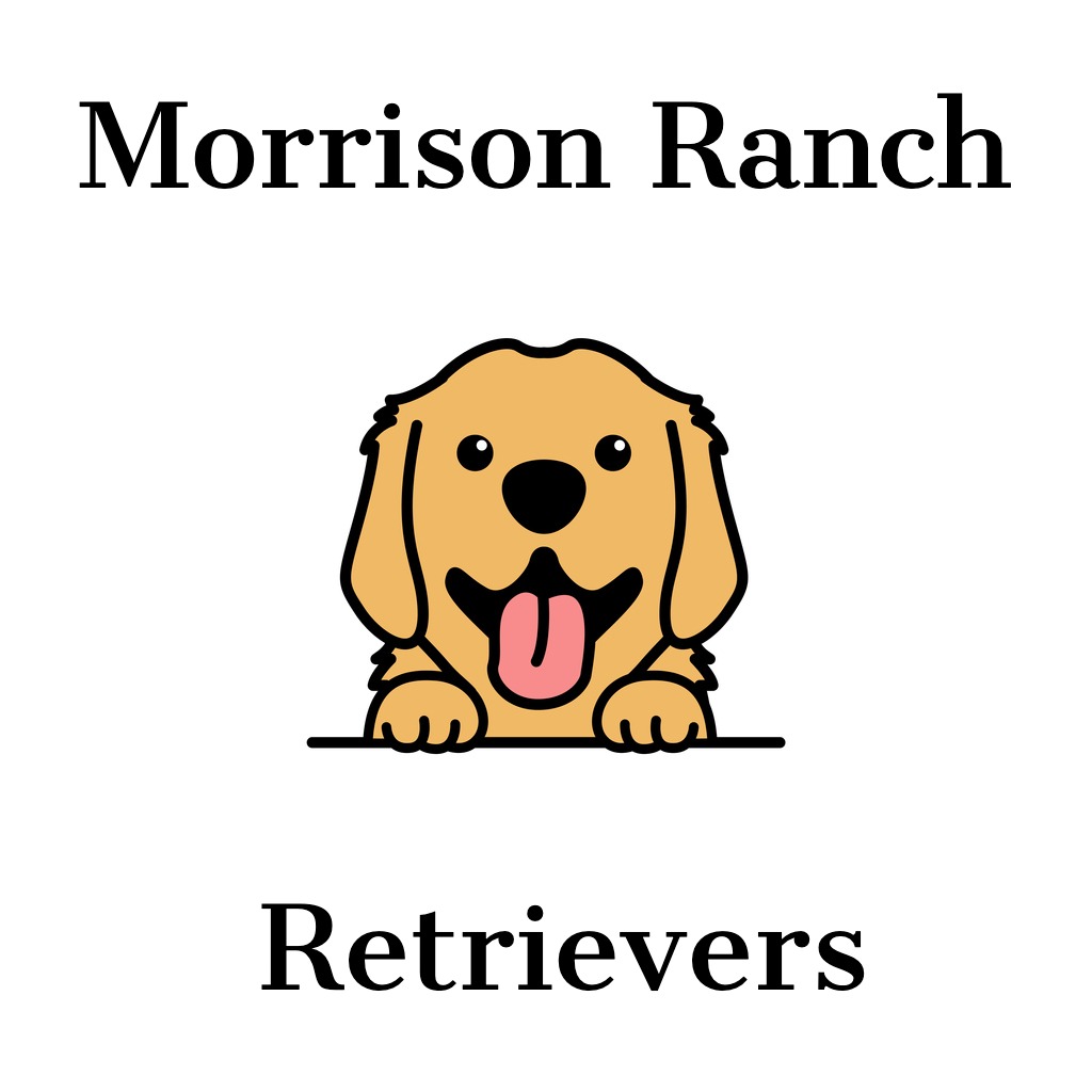 Morrison Ranch Retrievers