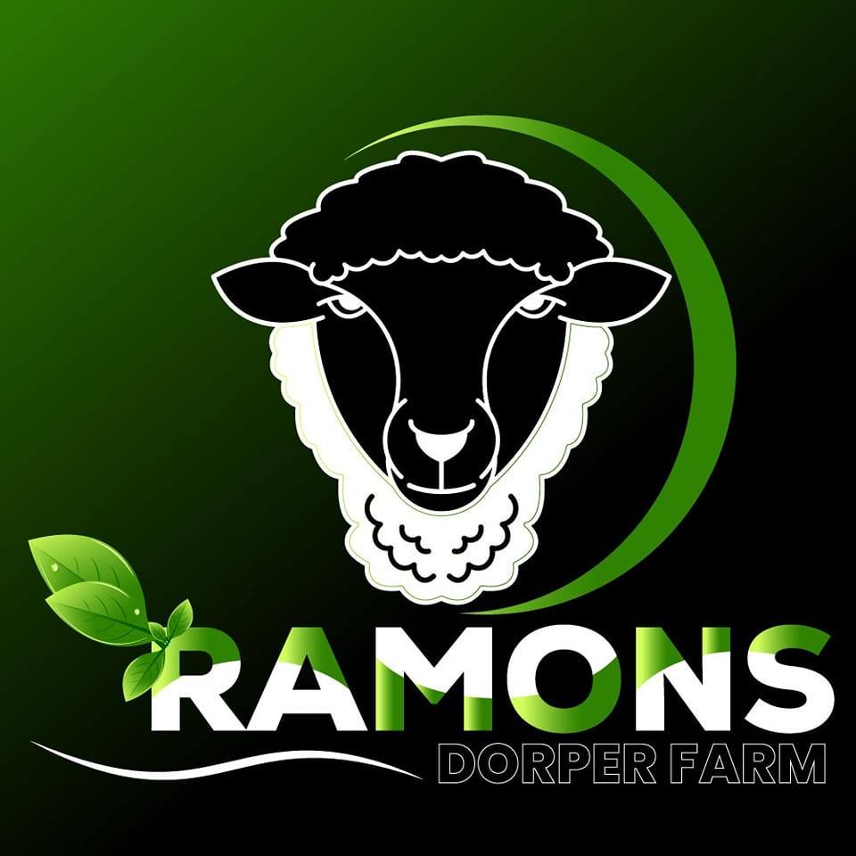 Ramons Dorper Farm | Londiani