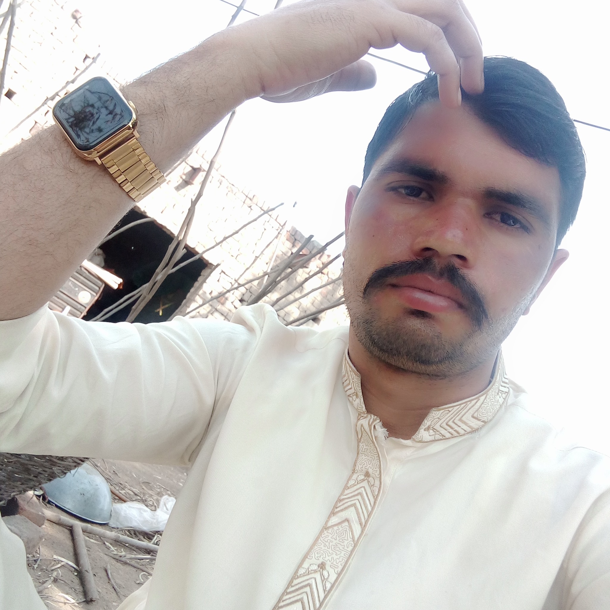 Saleem Ali