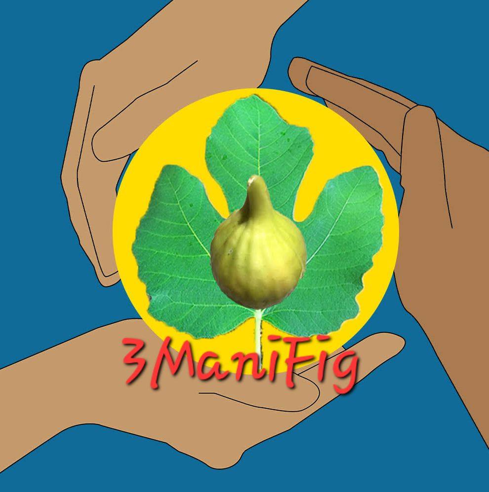Fig Trees USA | Has anyone had an experience with growing Walnut trees ...