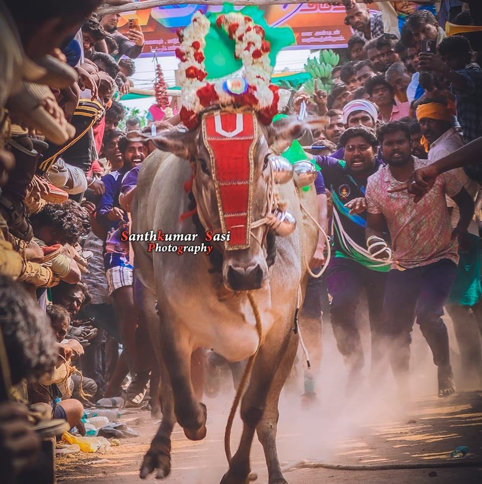 krishnagiri minnal rani 309 | Krishnagar