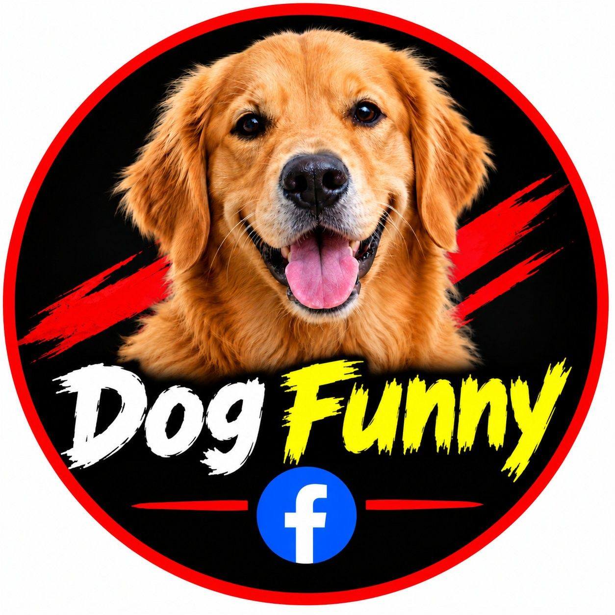 New dog funny # | MB Roast Here