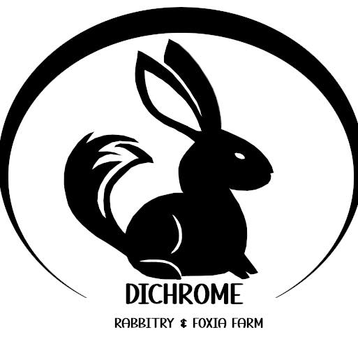 Purebred Rabbit Snobs | Let’s connect! I would love to follow other ...