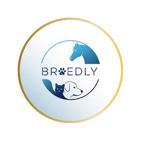 Dachshund Breed Information in 60 Secs: Facts You Didn't Know 🐶 # ...