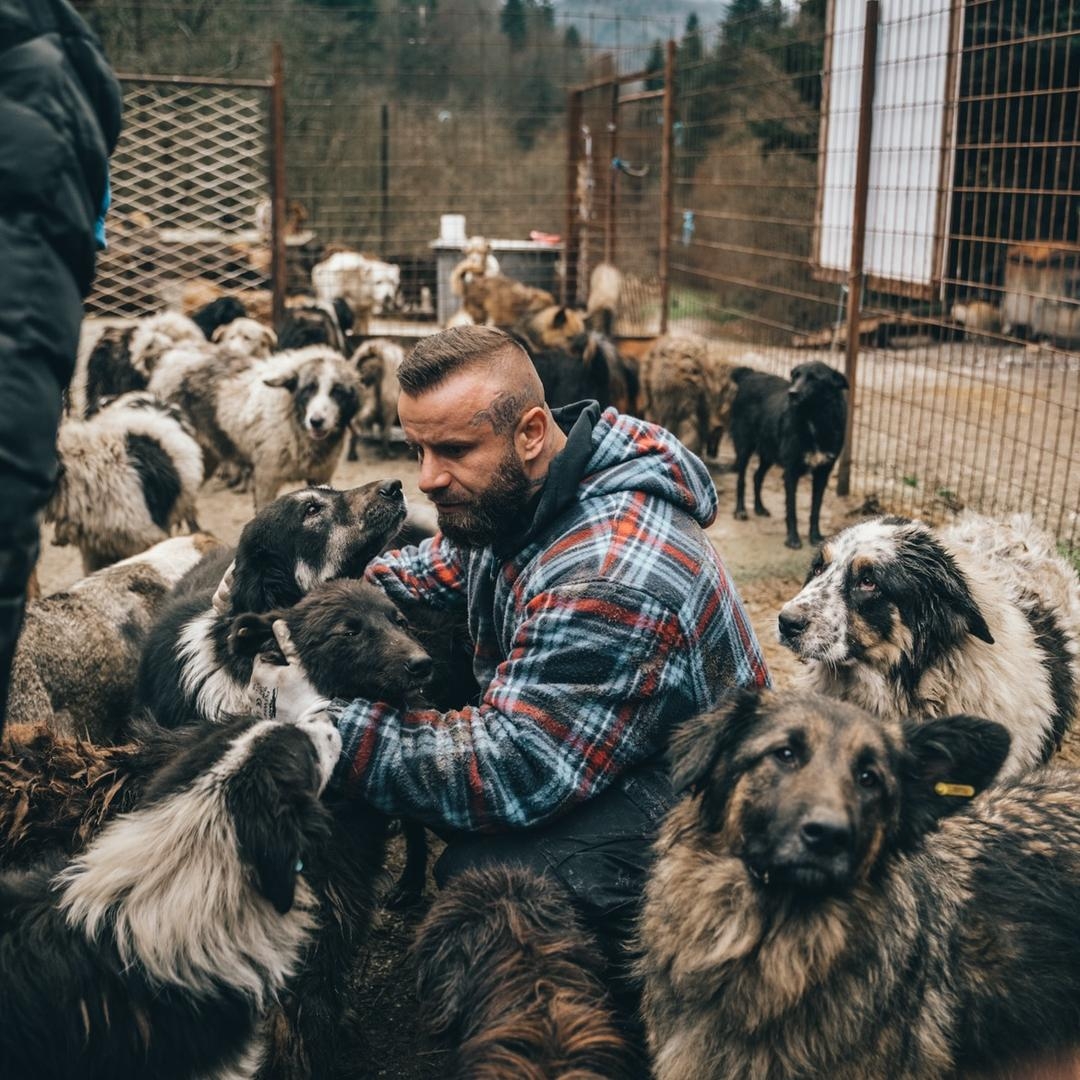 The God Father Of Dogs