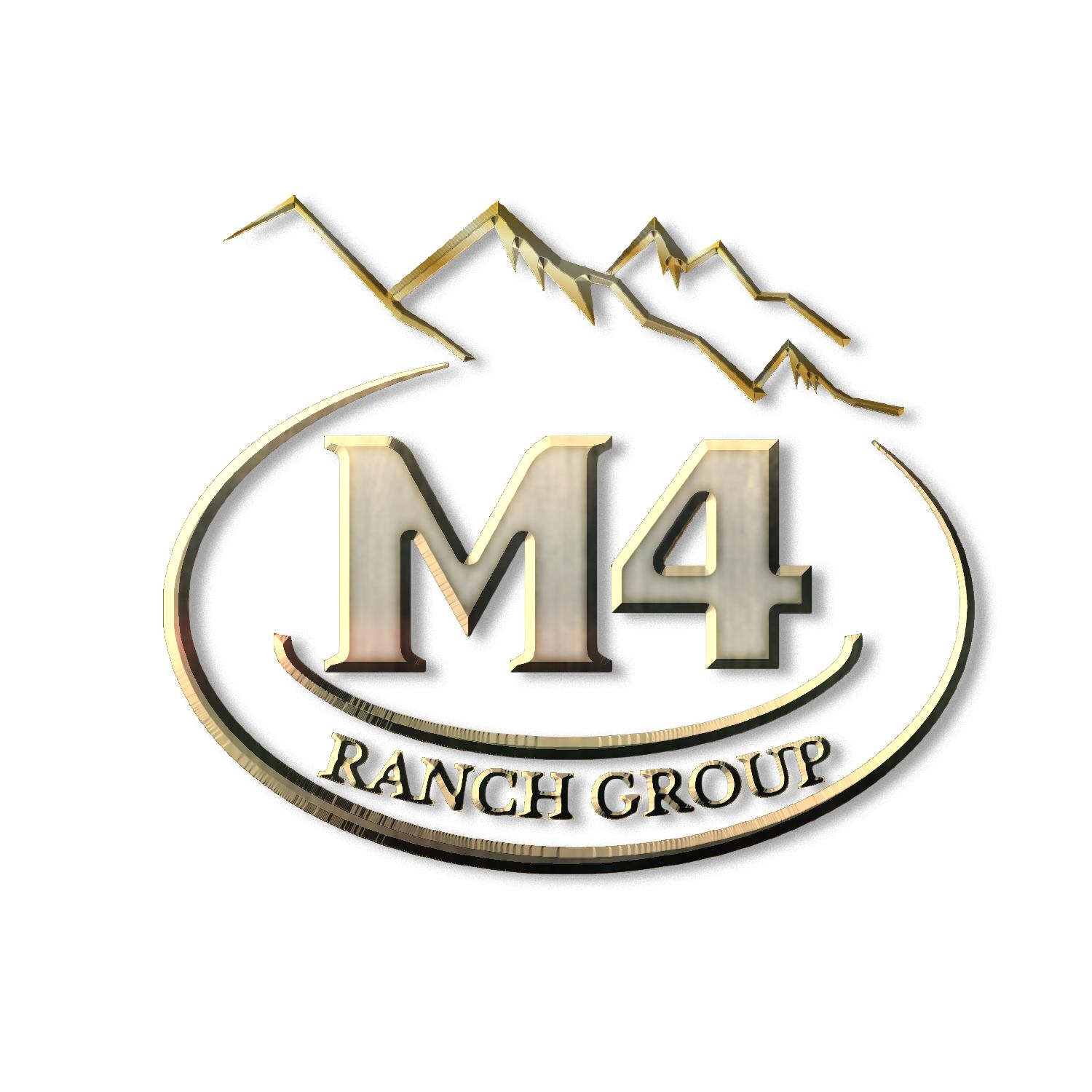 M4 Ranch Group | Lake City CO