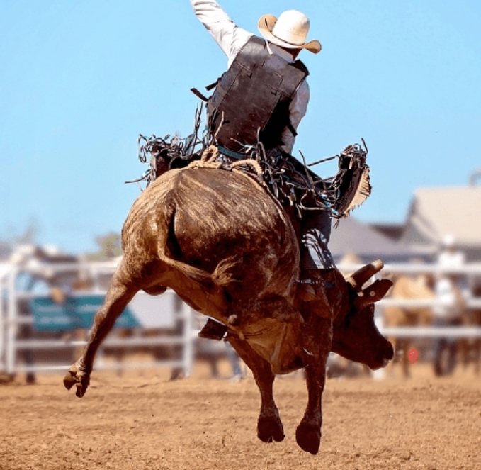 Tooloombilla Rodeo 2026