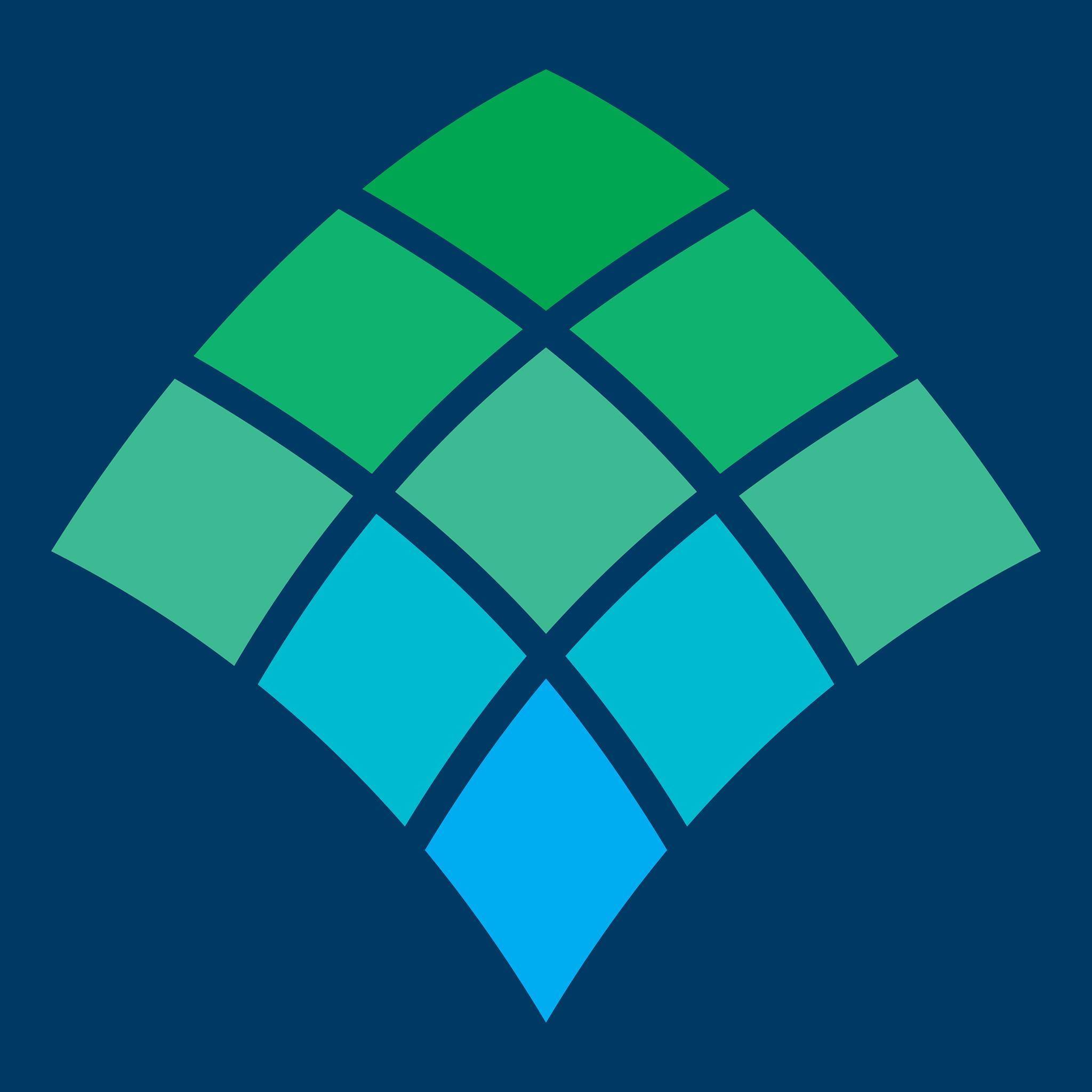 Citizens School of Nursing logo