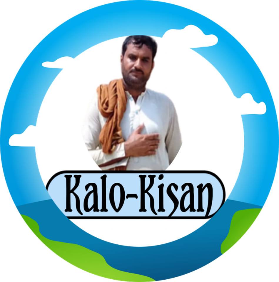کالو کسان۔