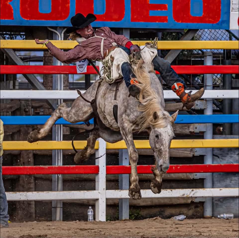 🎉 HBRODEOCLUB ANNOUNCEMENT 🎉 A... - Hawkes Bay Rodeo Club | Facebook