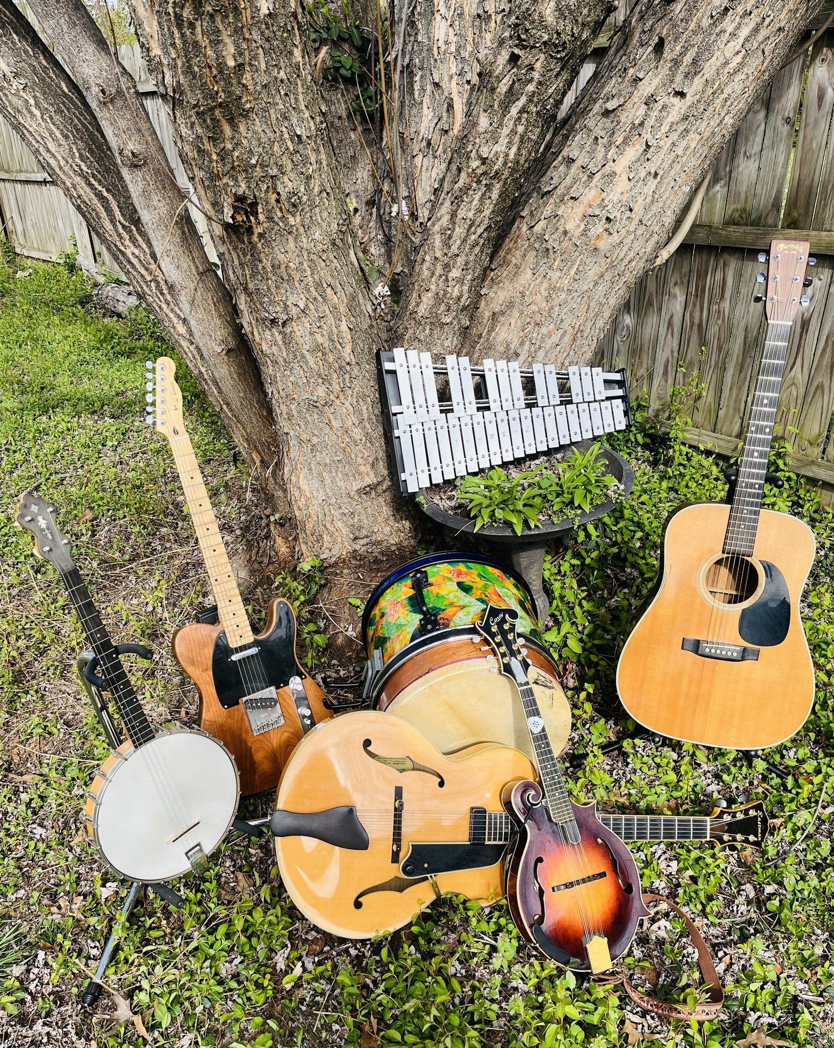 RVA Roots Music School | Richmond VA