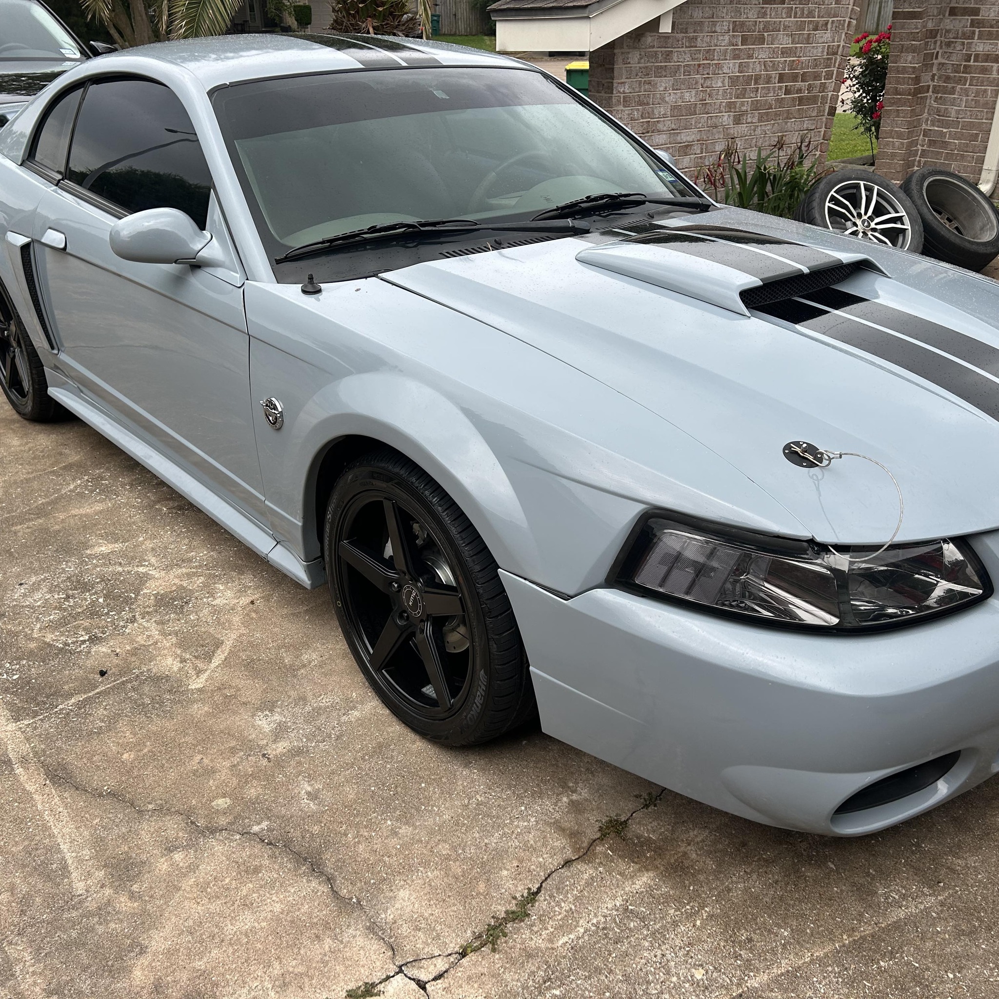 SN95 & New Edge Mustang Owners Club | Facebook