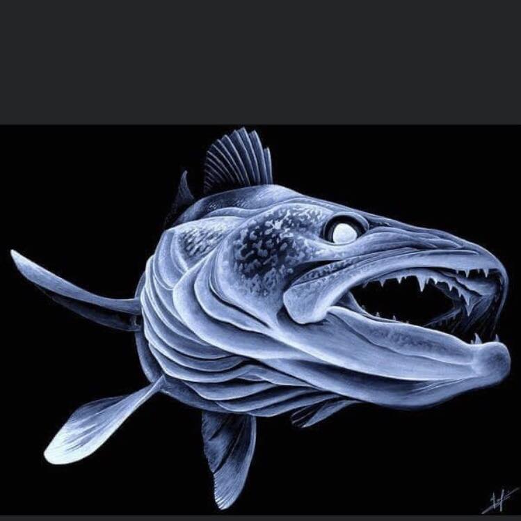 Lake Erie Fishing Reports | Anyone use Dreamweaver TripZ Divers, Big ...