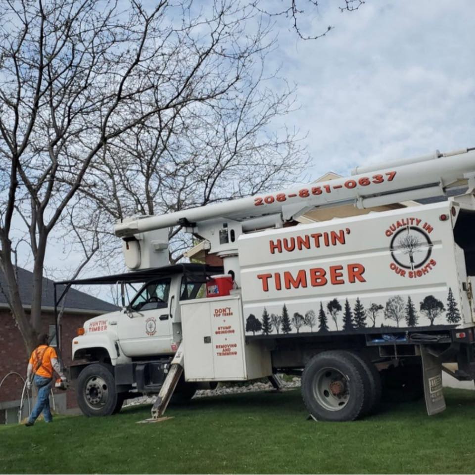 Huntin Timber tree service
