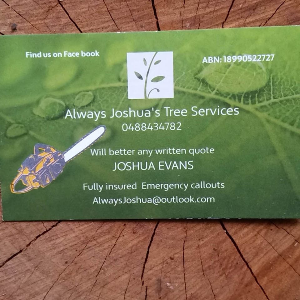 Always Joshua's Tree Services
