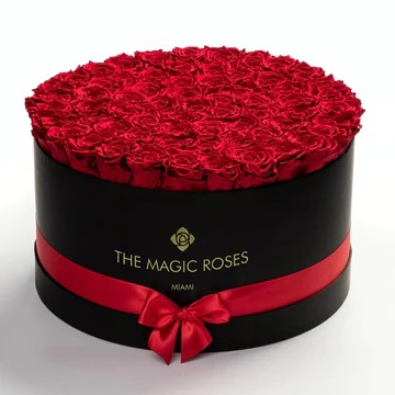 The Magic Roses | West Palm Beach FL
